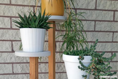 Tiered plant stand - Closeup