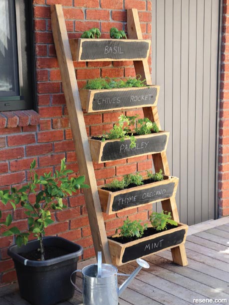 How to make a herb ladder