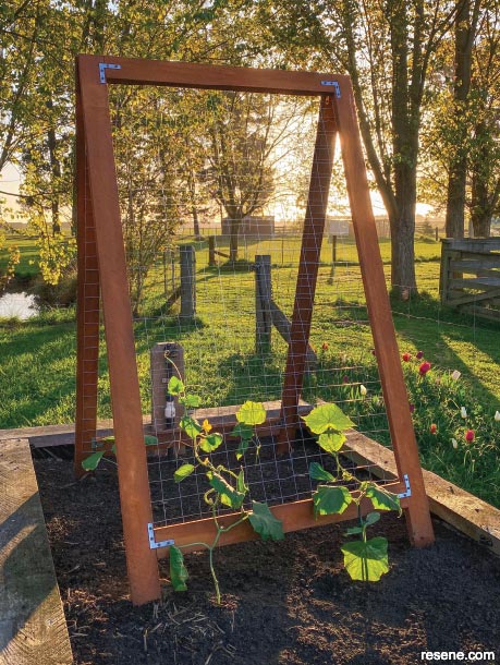 How to build a vertical growing frame