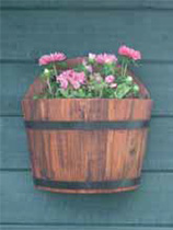 Stain a wall planter