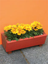 Build and paint a summer planter box