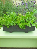 Stain a planter box