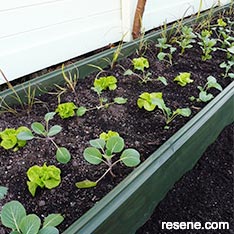 Make a raised garden bed
