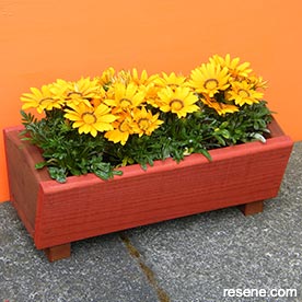 Create this hot summer planter
