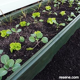 Make a raised garden bed