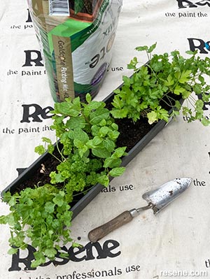 Rustic herb grower - Step 8