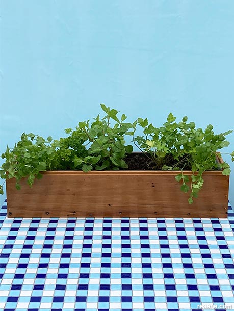 How to make a rustic herb grower