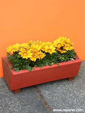 How to make a summer flower planter box