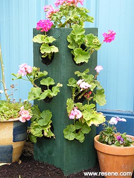 Build a wooden upright planter