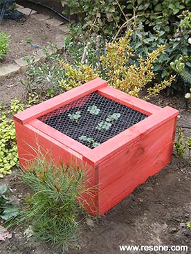 How to build a strawberry planter
