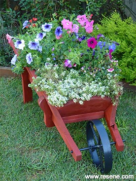 How to fill a barrow with flowers