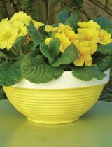 Paint a winter planter in bright colours