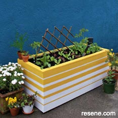 Make a DIY self watering planter