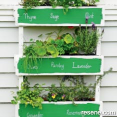 Hanging herb planter