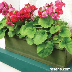 How to build a wooden window box