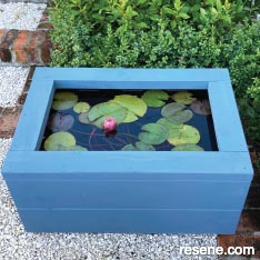 Create your own water garden
