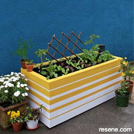 Make a DIY self watering planter