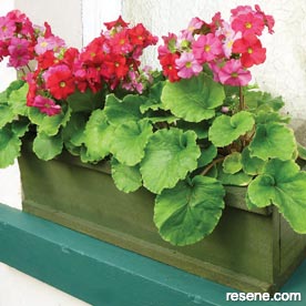 How to build a wooden window box