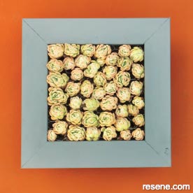 Get creative with succulents in this table decoration