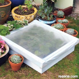 How to build an inexpensive cold frame