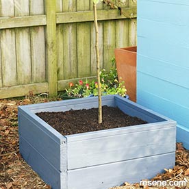 Build a raised tree bed