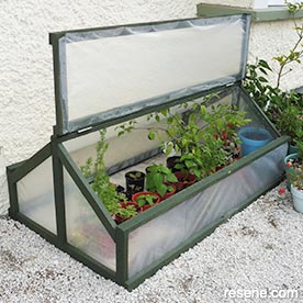 How to build a plant nursery