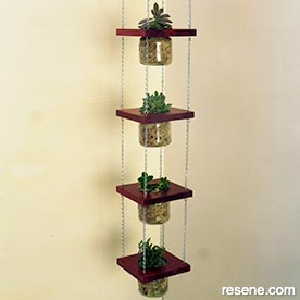 Make a succulent planter