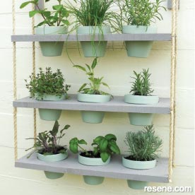 Make an wall herb hanger