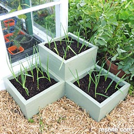 Build garden planters