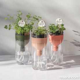 Make self watering herb planters for your windowsill