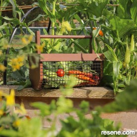 Build a harvest basket for your garden