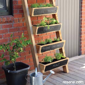 Herb ladder 