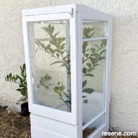 Recycled mini glasshouse
