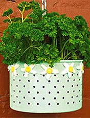 Make an hanging herb planter.