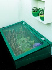 Make an outside cold frame garden box.