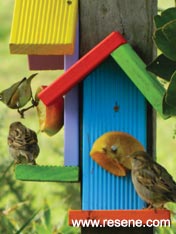 Build a bird feeder for the garden