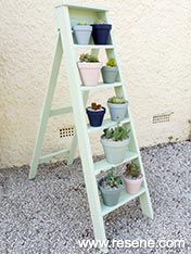 Turn an old ladder into a display for your plants