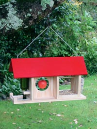 Build a native bird feeder
