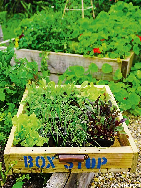Build a multipurpose tray for your garden space
