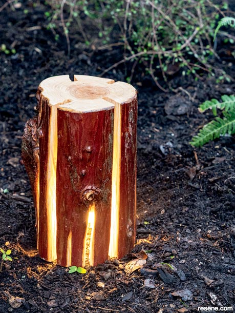 How to turn a log into a lamp