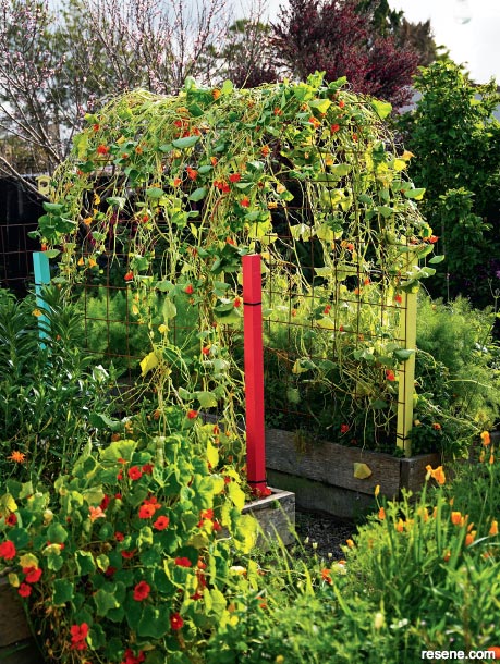 How to make a garden archway with recycled garden mesh