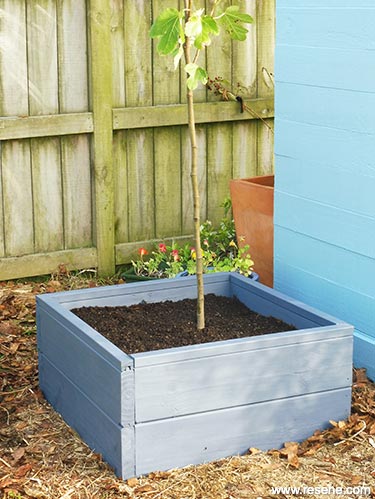 Garden project - raised Bed for a small tree 