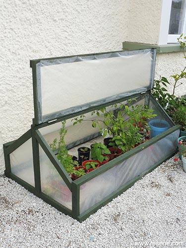 Make an cold frame plant nursery.