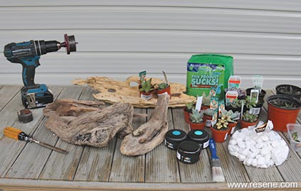 Things you will need for your kids ’n’ dirt project