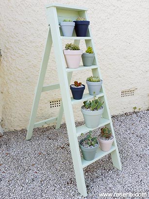 Upcycle a ladder to make an pot plant display