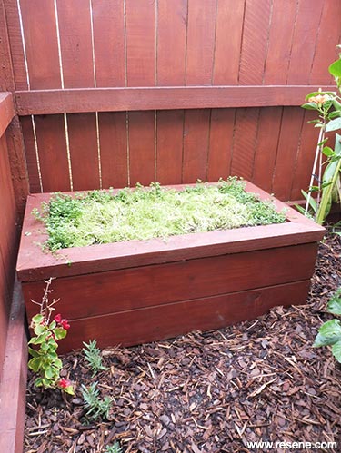 Build a fragrant garden bench