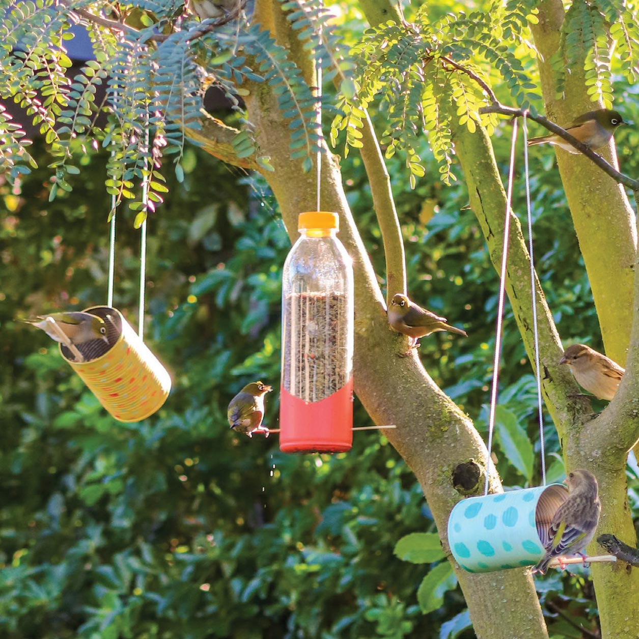 Make a horizontal bird feeder from an tin can