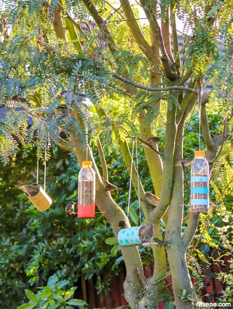 Make a bird feeders for your garden from platic bottles and tin cans