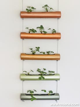 Planter on wall