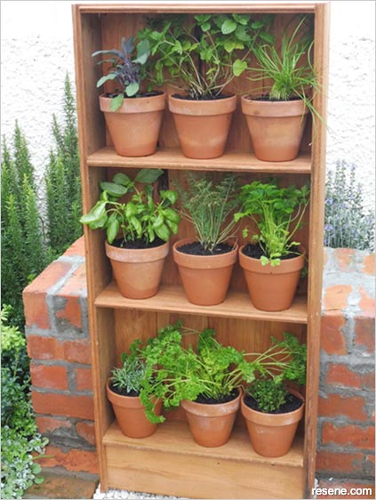 Build rustic herb shelves